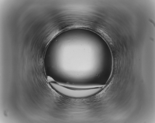 X0000098041185200804111339