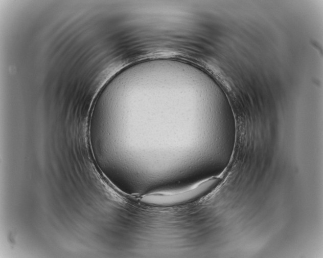 X0000098041186200804111339