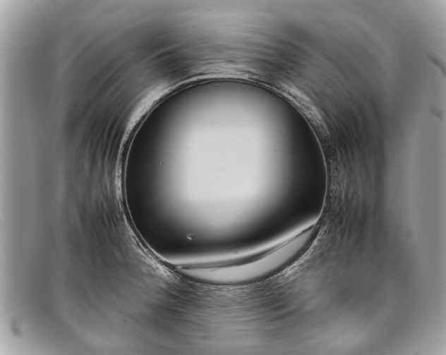 X0000098041188200804111338