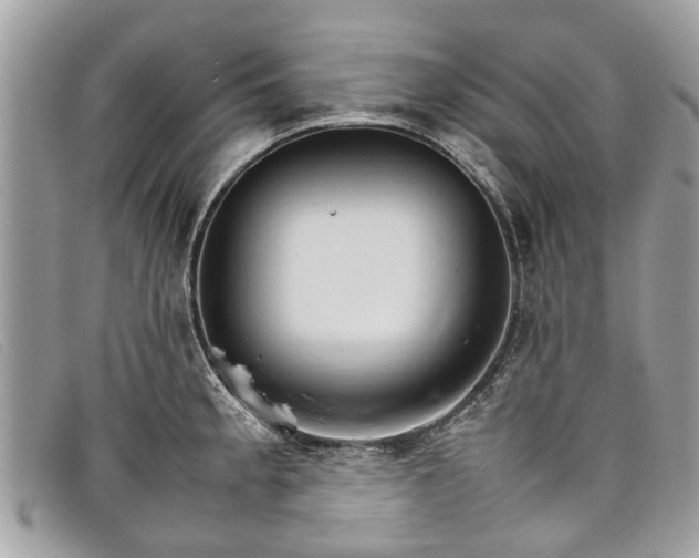 X0000098041189200804111338