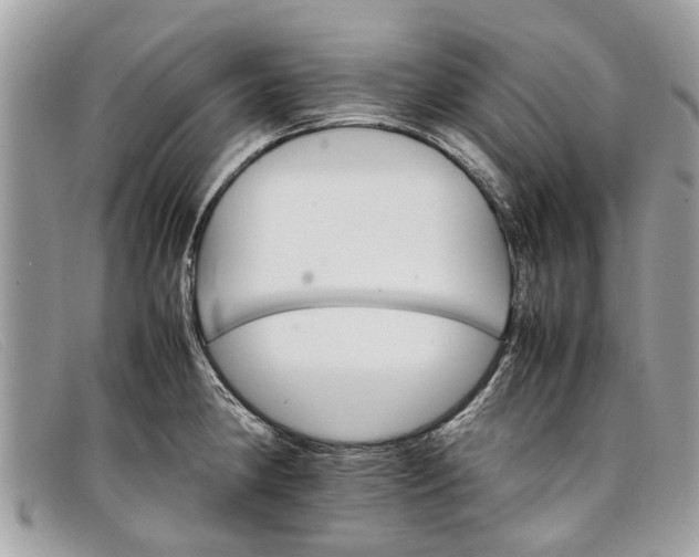 X0000098041190200804111338