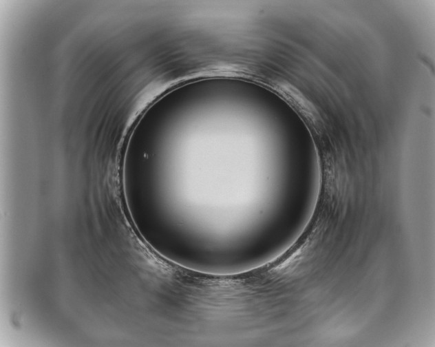 X0000098041192200804111338