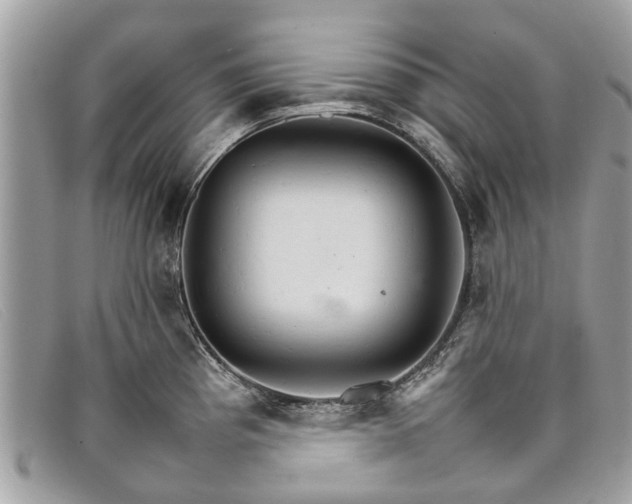 X0000098041193200804111338