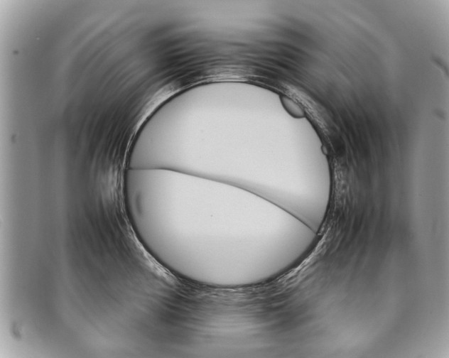 X0000098041194200804111338