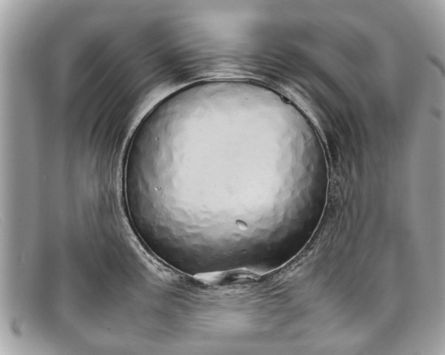 X0000098041195200804111338