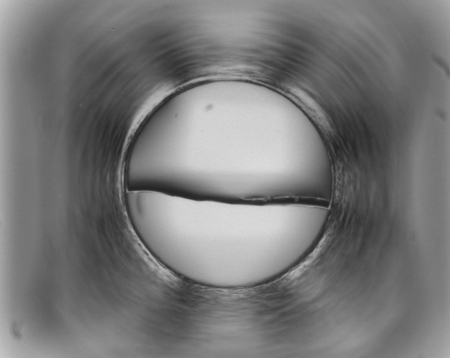 X0000098041196200804111338