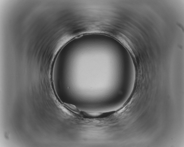 X0000098041197200804111338