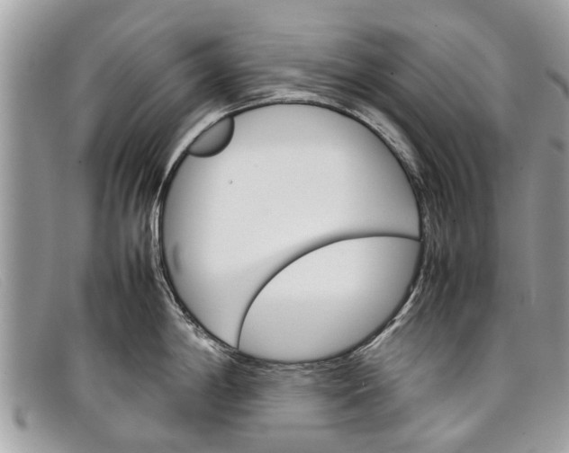 X0000098041198200804111338