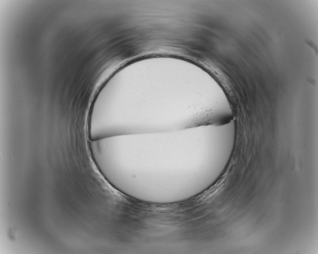 X0000098041199200804111338