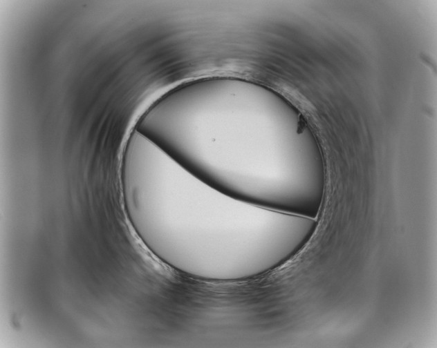 X0000098041200200804111338