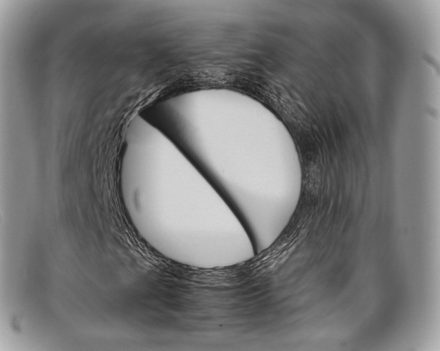 X0000098041201200804111338