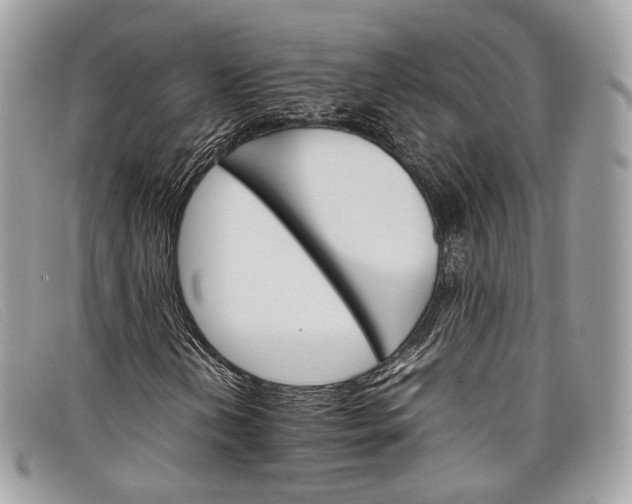 X0000098041202200804111338
