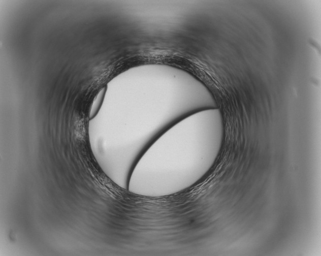 X0000098041204200804111338