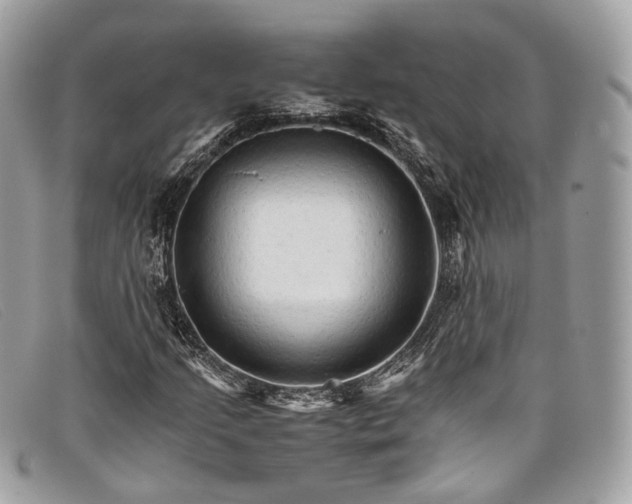 X0000098041205200804111338
