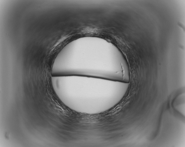 X0000098041206200804111338