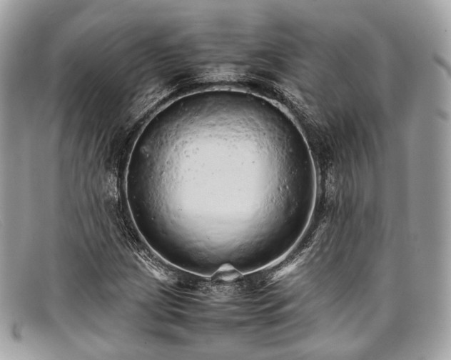 X0000098041209200804111338