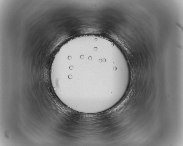 X0000098041211200804111338