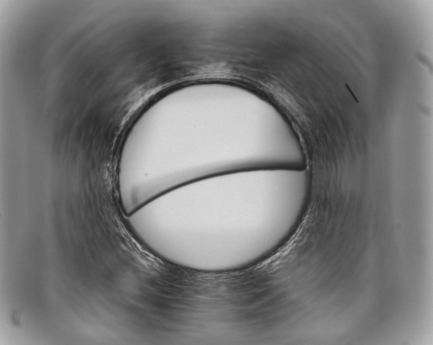 X0000098041212200804111338