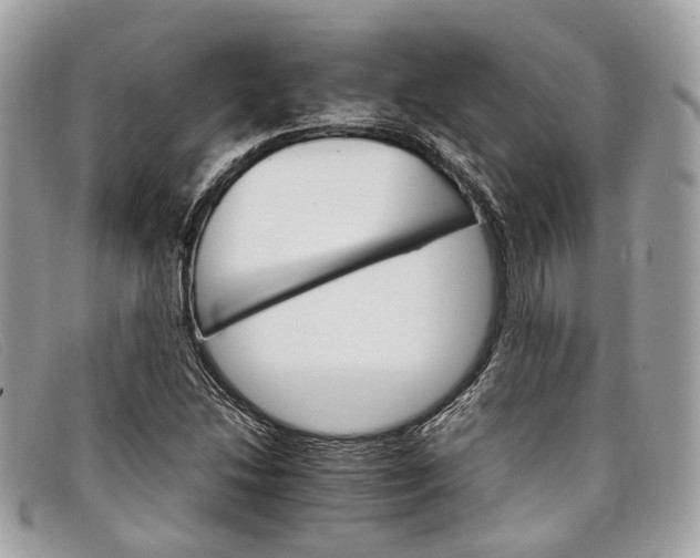 X0000098041214200804111338