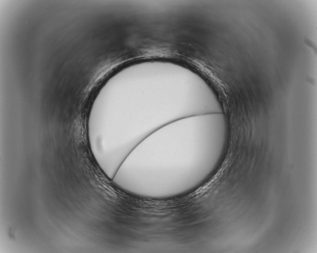 X0000098041215200804111338
