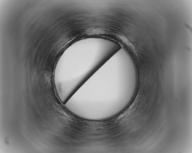 X0000098041217200804111338