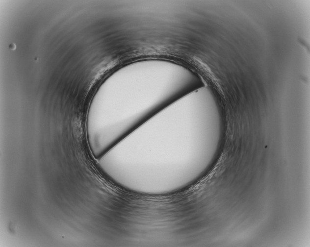 X0000098041218200804111338
