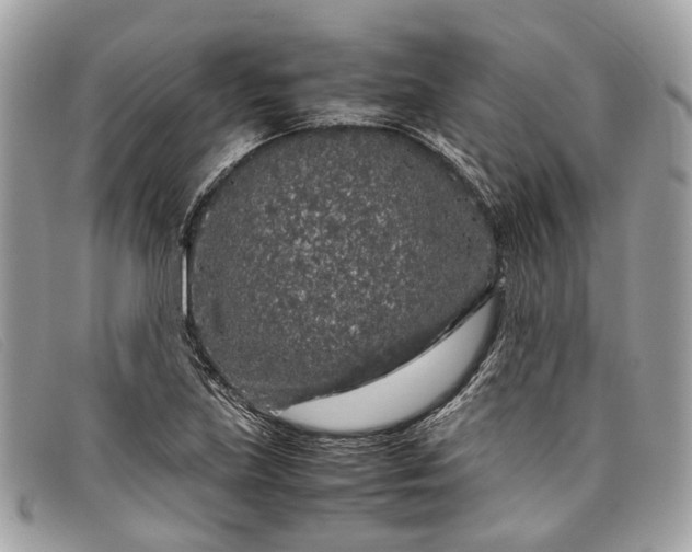 X0000098041219200804111338