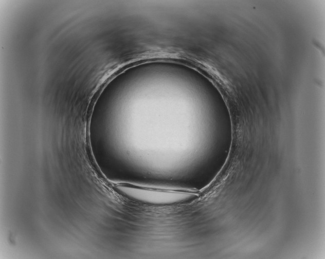 X0000098041220200804111338