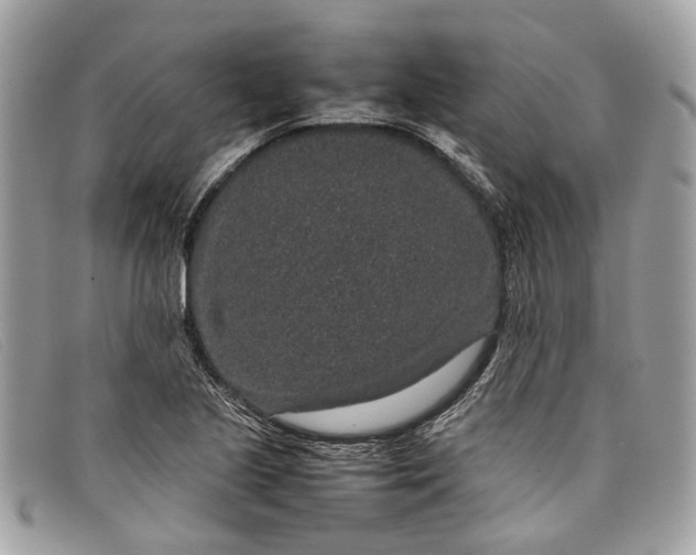X0000098041221200804111338