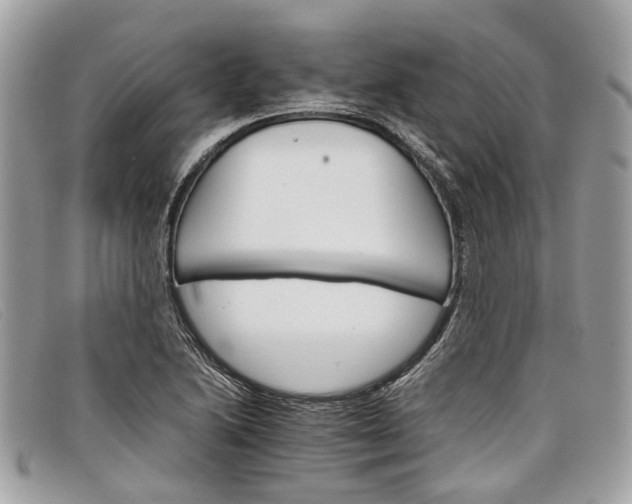 X0000098041222200804111338