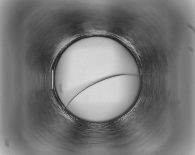 X0000098041223200804111338