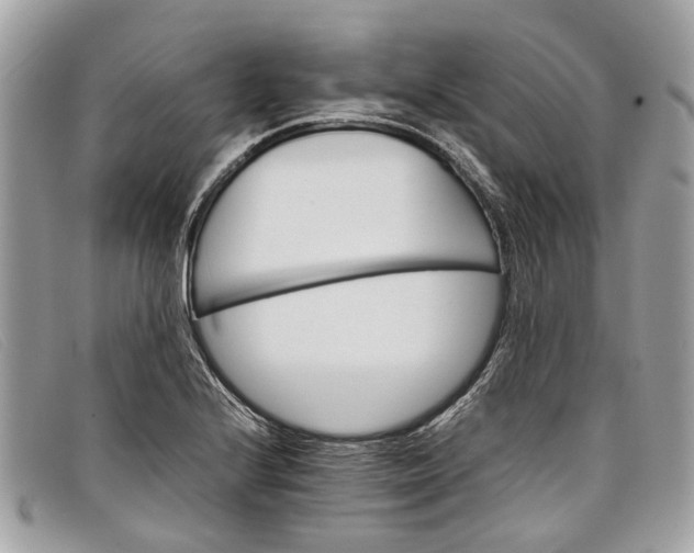 X0000098041224200804111338
