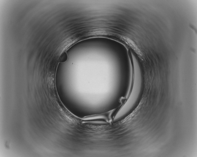 X0000098041225200804111338