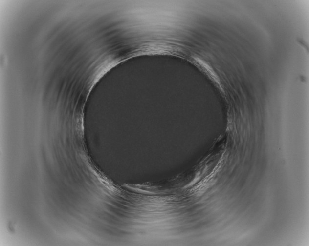 X0000098041226200804111338