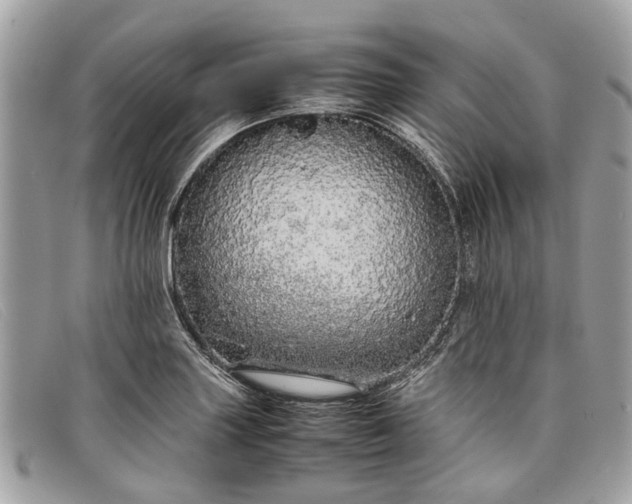 X0000098041227200804111338
