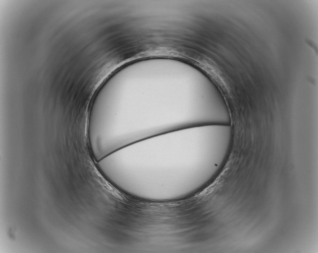 X0000098041228200804111338