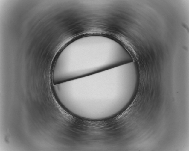 X0000098041229200804111338