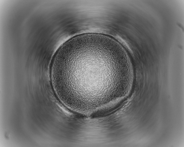 X0000098041230200804111338
