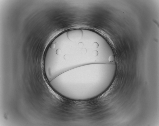 X0000098041231200804111338