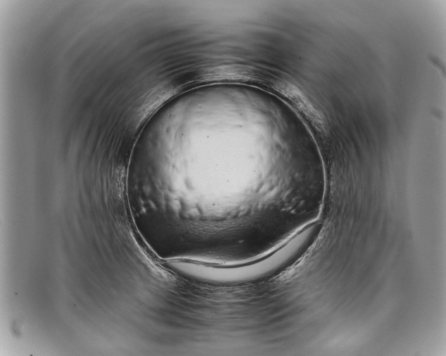X0000098041233200804111338