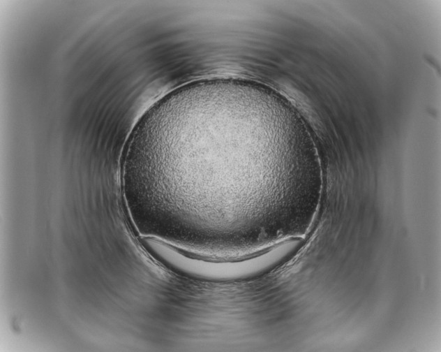 X0000098041234200804111338