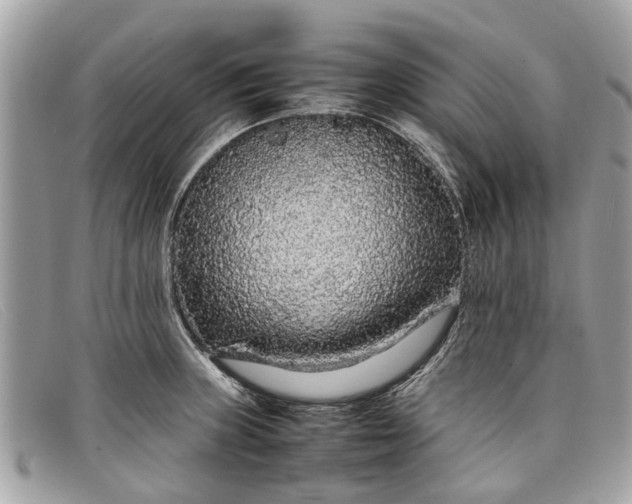 X0000098041235200804111338