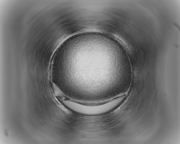X0000098041236200804111338