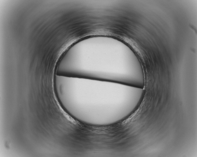 X0000098041237200804111338