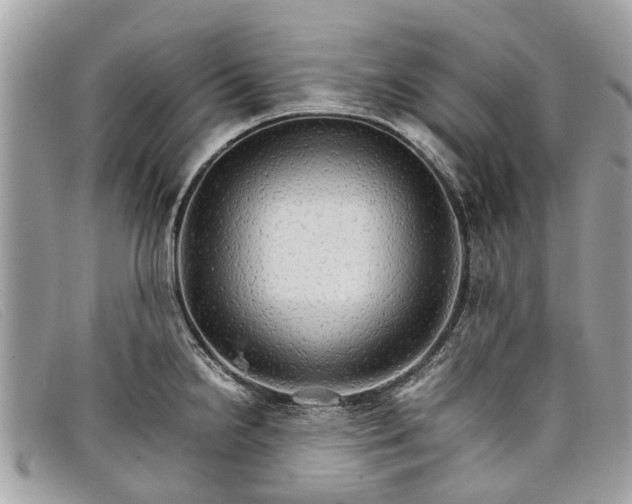 X0000098041238200804111338