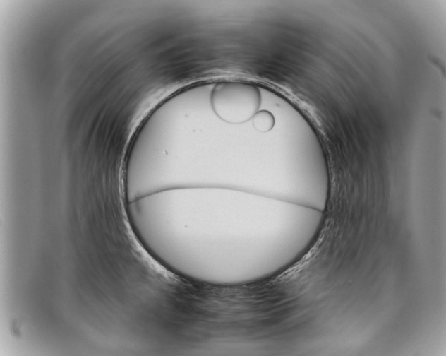X0000098041239200804111338