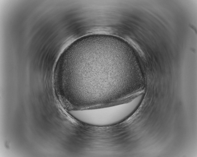 X0000098041240200804111338
