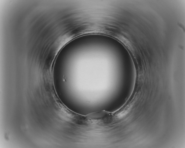 X0000098041242200804111338