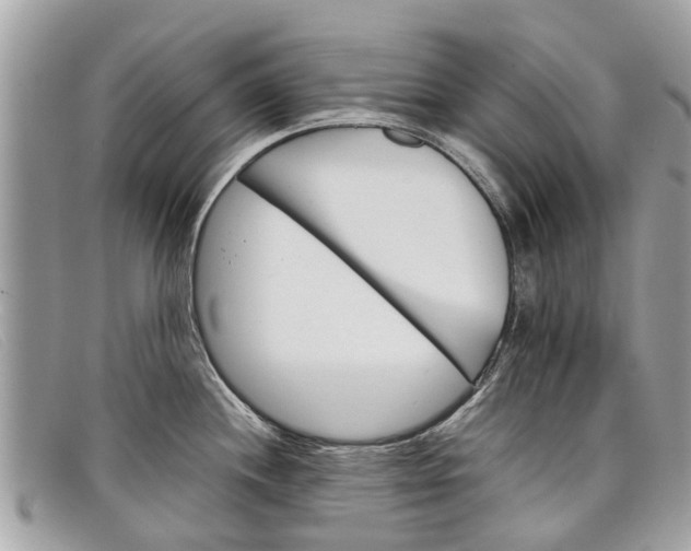 X0000098041244200804111338