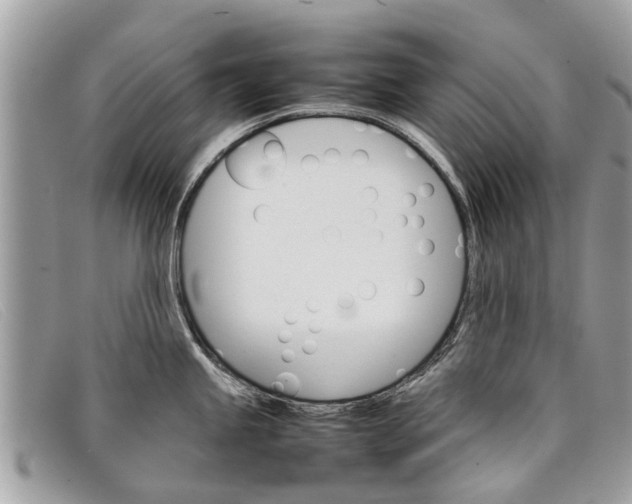 X0000098041245200804111338